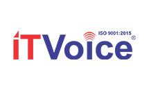 IT Voice LOGO