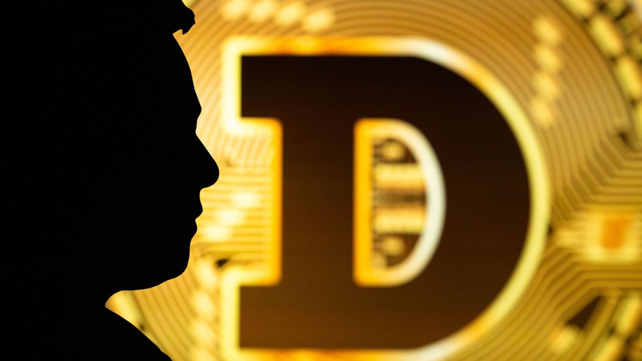 Dogecoin Hits Significant Gains Globally, Set to Make Headway in Indian Market