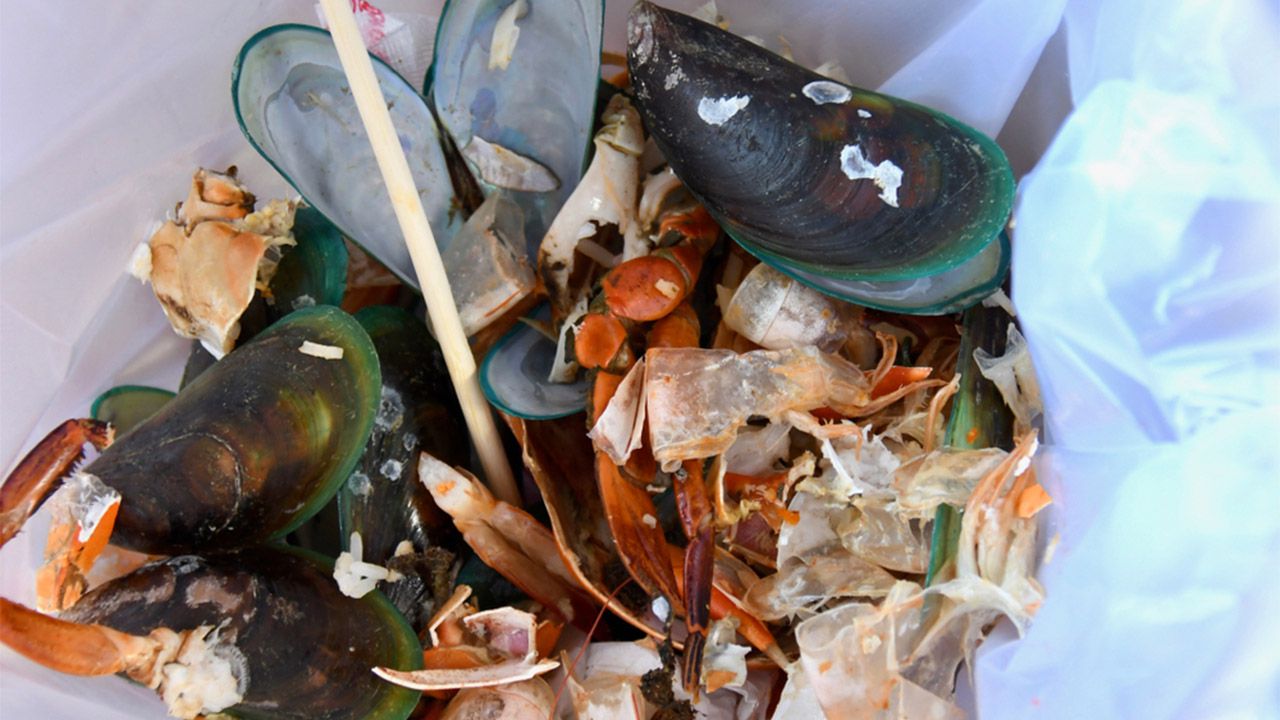 Odisha startup turns seafood waste into sustainable bioplastics